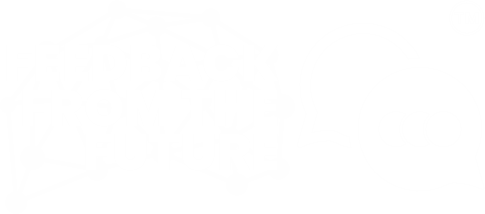 FEEDBACK FROM THE FUTURE FEEDBACK FROM THE FUTURE
